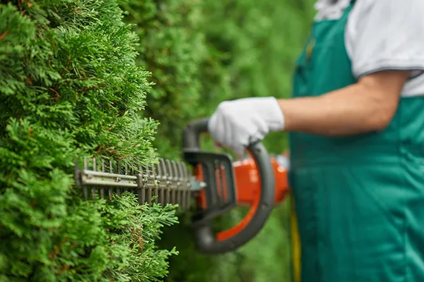 Lawn and garden care